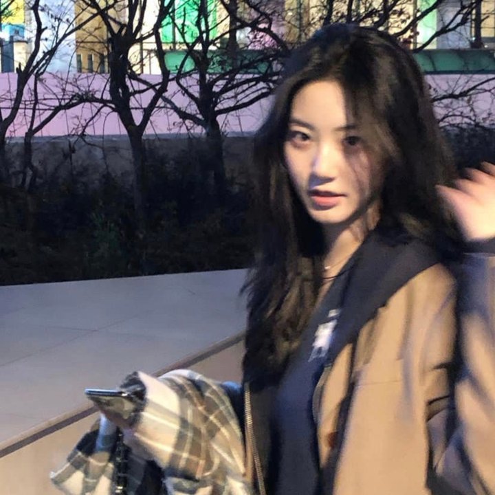 汽车先生和圣殿骑士团